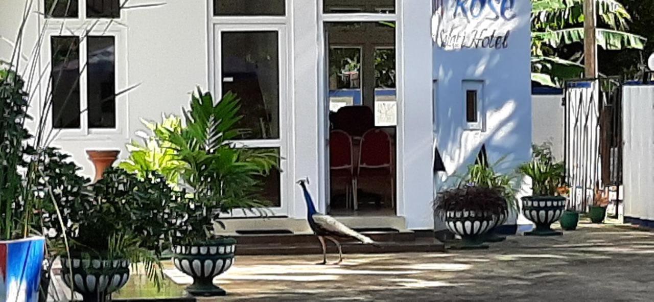 Owin Rose Yala Safari Hotel Tissamaharama Exterior foto